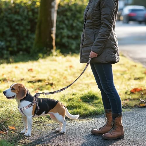 QQPETS Dog Harness Leash Set Adjustable Heavy Duty No Pull Halter Harnesses for Small Medium Large Breed Dogs Back Clip An...
