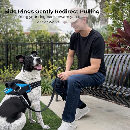 ShawnCo Essential Dog Harness, No-Pull Pet Vest with 3 Leash Clips, No Choke, Reflective, Adjustable and Padded, for Easy ...
