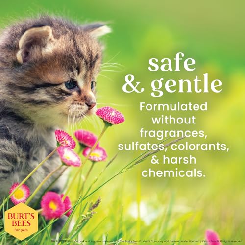 Burt's Bees for Pets Kitten Grooming Wipes with Buttermilk and Honey, Waterless Cat Bath Wipes for Face, Paws, Tail and Co...