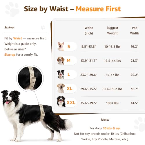 Adjustable Dog Lift Harness Dog Sling for Large Dogs Hind Leg Support Soft Lift Support and Rehab Harness for Weak Rear Le...