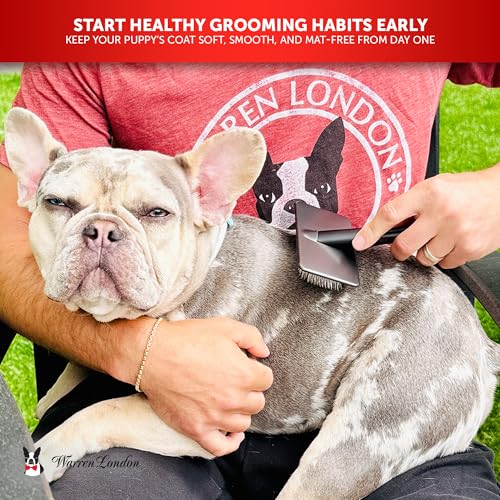Warren London Gentle Touch Slicker Brush for Puppies & Small Dogs – 4" x 2" Soft Pin Grooming Brush – Tangle Remover for S...