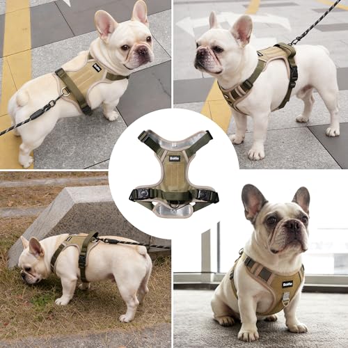 Small Dog Harness, Heavy Duty Tactical No-Pull Reflective Harness & Collar Set — Secure, No Choke, Easy On and Off Pet Ves...