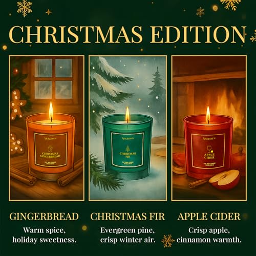 Valentine's Day Candles Gift Set, 3 Pack 30oz Scented Candles for Home, Soy Candle Scents of Apple Cider/Gingerbread/Fir, ...