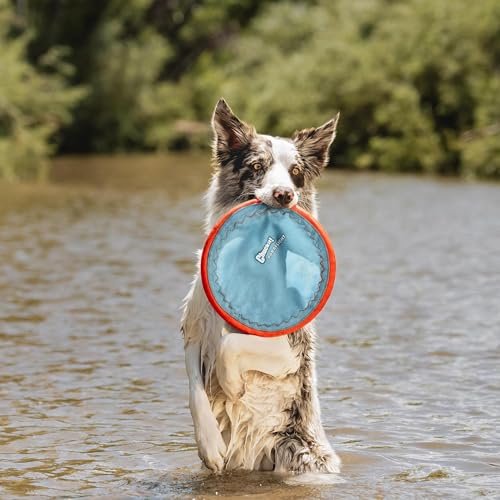 Chuckit! Paraflight Flying Disc Dog Toy - Water Floating Flyer - Durable Nylon Construction with Soft Rubber Edges - For M...