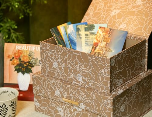 MIZFRUZZY 2-Piece Decorative Keepsake Storage Boxes with Lids, Warm Cocoa Brown Floral Line Art Design, Memory Boxes with ...