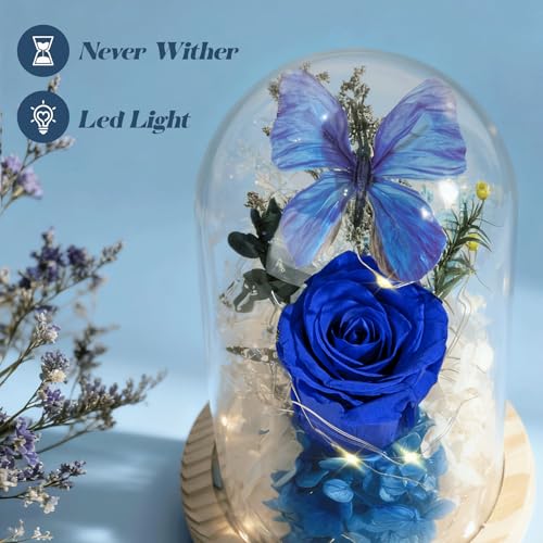 Forever Flowers Preserved Roses with Light in Glass Dome, Romantic Gifts for Mom Wife Girlfriend Grandma, Blue Flower for ...