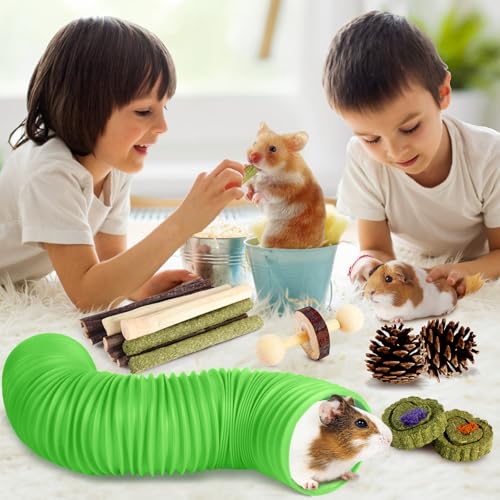 Kyouki Hamster Toys Guinea Pig Toys Set with Tunnel, Chewable Apple Wood & Natural Timothy Hay - Enrichment Chew Toys for ...