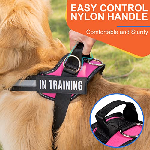 Essential Dog Harness, No Pull Pet Harness with 3 Side Rings for Leash Placement, No Choke, Reflective, Adjustable Pet Ves...