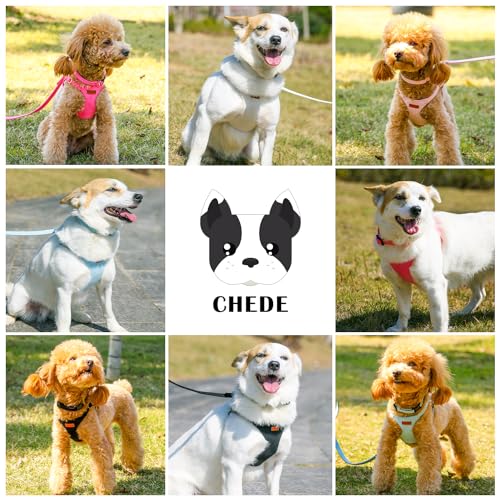 No Pull Dog Harness- Lightweight, Soft, Adjustable Small Harness Collar and Leash Set, Suitable for Cats Puppy Small and M...