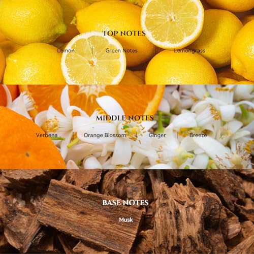AROMADD AROMADD 24K Celestia Diffuser Oil Inspired by Luxury Hotel Scent 3.38 Fl Oz (100ml), Aroma Diffuser & Hotel Fragra...