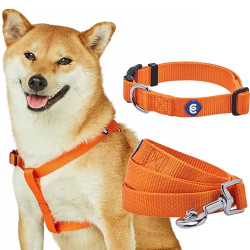 Blueberry Pet Essentials Dog Harness and Leash Set - Large Orange Vermilion Dog Collar and Leash Set for Eco-Conscious Own...