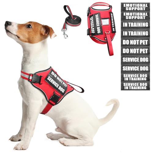 Service Dog Harness and Leash Set, Training Dog Vest with 10 Dog Patches, Emotional Support Therapy Dog Vest Harness for S...