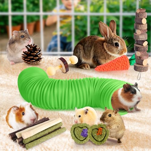 Kyouki Hamster Toys Guinea Pig Toys Set with Tunnel, Chewable Apple Wood & Natural Timothy Hay - Enrichment Chew Toys for ...