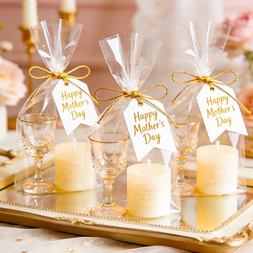 LOKIQNG Cellophane Bags Plastic Gift Bag Clear Cookie Treat Bags with Twist Ties for Party Favor Bag(100PACK,6x10inch)