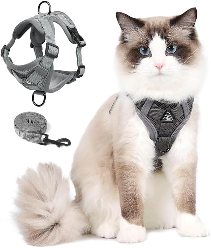 Cat Harness and Leash Set, Upgraded Escape Proof Adjustable Vest with Lead for Large Cat Small Dog Puppy Outdoor Walking, ...