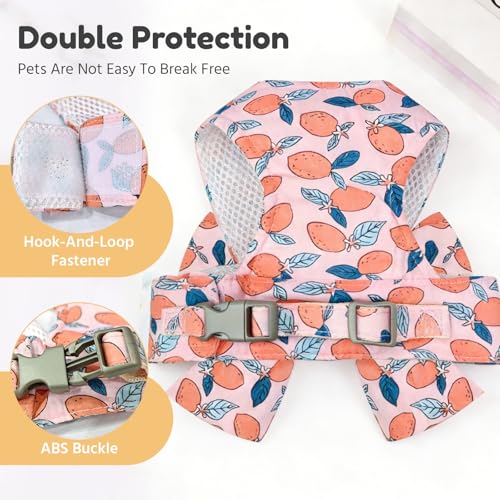 BAEJMJK Dog Harness and Leash Set with Bow Knot No Pull Pet Floral Harness with D-Ring Soft Mesh Dog Harness Vest Set Esca...