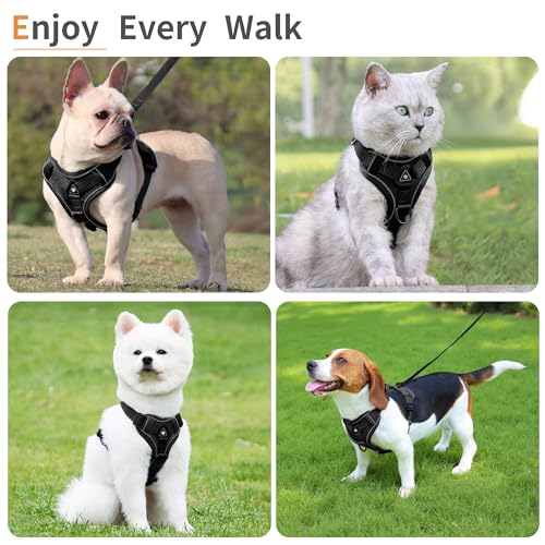 Jolifield No Pull Dog Harness with Leash Set for Small Sized Dog, Reflective Adjustable No Choke Cat Vest HarnessSoft Padd...