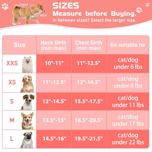HIHANHAN Soft Mesh Dog Harness and Leash Set, No Pull Puppy Harness and Leash Set, Reflective Step in Harness for Small Me...