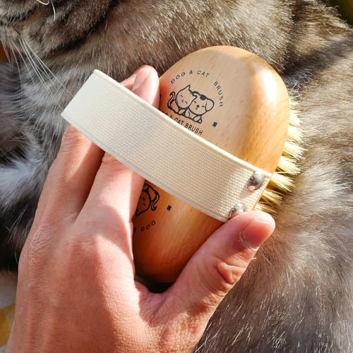 Menesia Soft Dog Brush, Pets Palm Brush for Dog and Cat Grooming - Bristle Brush for Dogs Short Haired - Soft Bristle Dog ...
