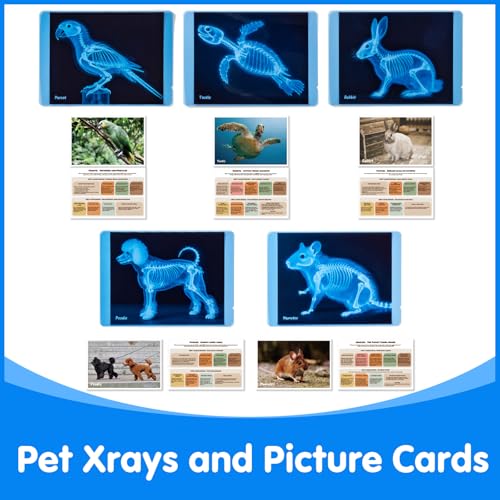 Odoorgames Pet Series Animal Xrays for Kids - Pet X-Rays Set, Light Table Manipulatives, Veterinarian Play Set & Dramatic ...