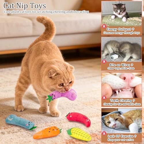 ETEKYER Catnip Cat Toys, 5 Pack, Plush Cat Nip Toys for Indoor Kitten Kitty, Interactive Cat Kicker Chew Safe Teeth Cleani...