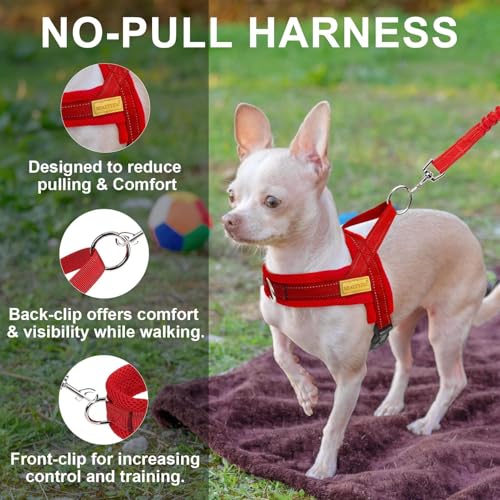 BEAUTYZOO No Pull Dog Harness Medium Sized Dog, Breathable Mesh Padded Dog Harness and Leash Set, Adjustable Reflective Es...