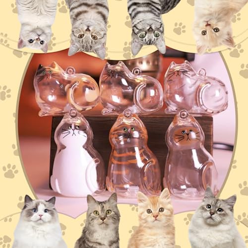 floofelove 6PCS Cat Fur Keepsake Storage Bottle - Pet Memorial Gifts for Cats Transparent Cat Hair Keychain Collection Dog...