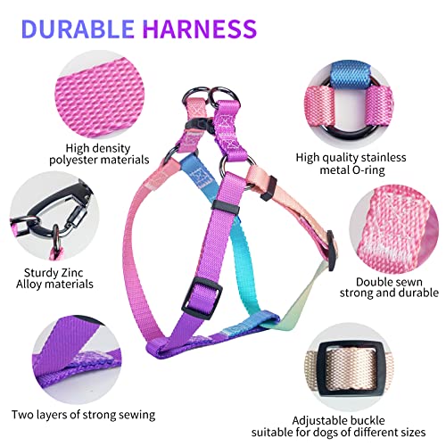 AIITLE No Pull Dog Harness & Leash & Collar - Adjustable Basic Collar with A Heavy Duty Leash - Super Sturdy Buckle and D ...