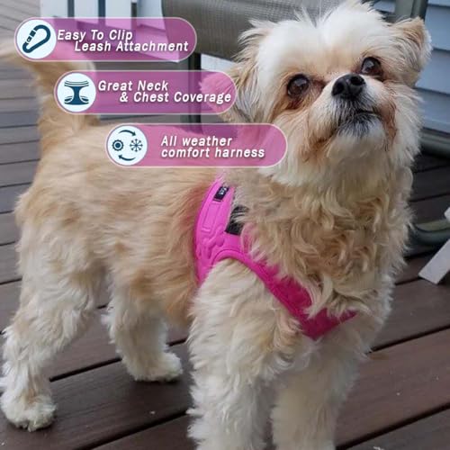 Comfort Fit Dog Harness No Pull No Escape Harness Adjustable Buckles Soft Padded Reflective Choke Step in Dog Vest with Ea...