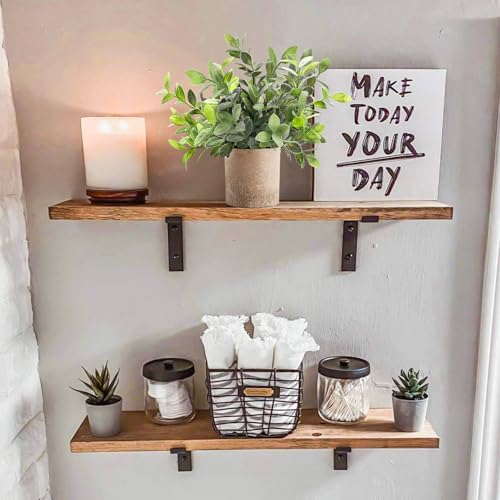 Der Rose 3 Pack Mini Potted Fake Plants Artificial Plastic Eucalyptus Plants Topiaries for Home Office Desk Farmhouse Shel...