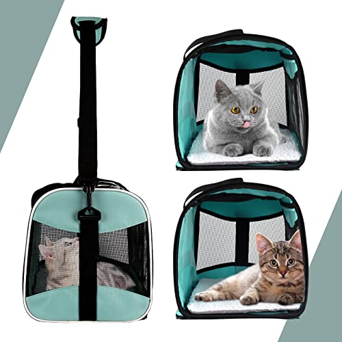 Cat Carrying Case Pet Dog Carrier Soft-Sided Cat Bag Airline Approved, Pet Travel Carrier Up to 15 Lbs, Collapsible Cats C...