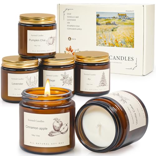6-Pack Jar Scented Candles for Home Scented - Home Decorative Candles Gift Set, 3.5oz Soy Wax Candles for Living Room, Bat...