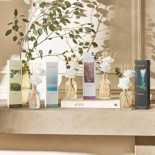 COCORRÍNA Reed Diffuser - Eucalyptus & Moss Scent, 6.76 fl oz Essential Oil with 8 Reed Sticks - Home Fragrance for Bedroo...