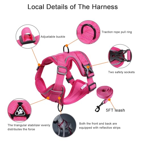 SOLMOONY Small Dog Harness,Soft Mesh Puppy Harness and Leash Set,No Escape Cat Harnesses for Training Walking,Reflective A...