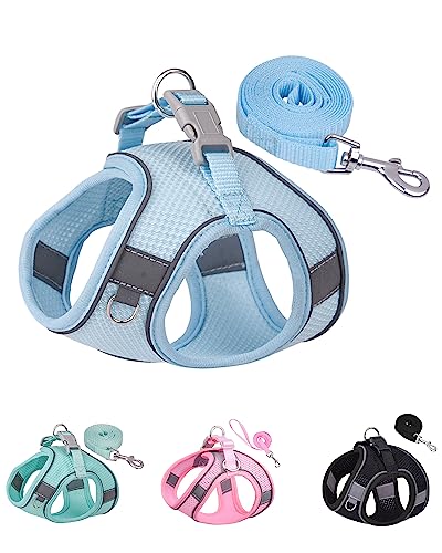 Solmoony Dog Harness for Small Medium Large Dogs No Pull, Puppy and Leash Set, Dogs, Step in Harness, mesh Harness. (Bule, S)