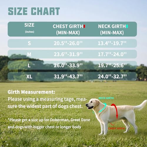 AUROTH Dog Harness and Leash Set, Soft Padded Service Dog Vest with 5.25FT Dog Leash, No Choke, Easy On Pet Vest, Adjustab...