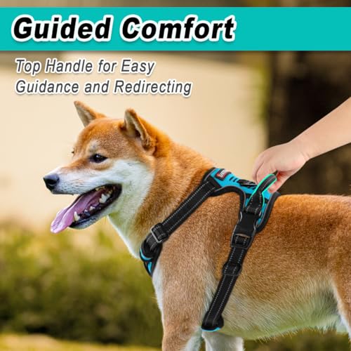 BARKBAY Dog Harness No Pull for Large Dogs - Adjustable, Reflective, Comfortable, No Choke, Heavy-Duty - Perfect for Outdo...