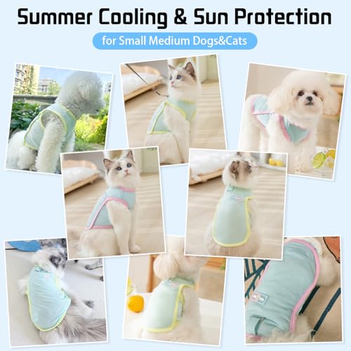 Yaopelky Dog Cooling Vest, Summer Pet T-Shirt, Breathable Quick-Dry Outfit for Dogs and Cats, Blue (Green, Small(3.3-5.5lb))