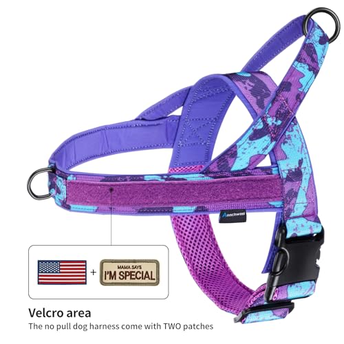 Annchwool No Pull Dog Harness with Padded Handle+5 Ft Leash,Escape Proof and Quick Fit to Adjust Dog Harness,Easy for Trai...