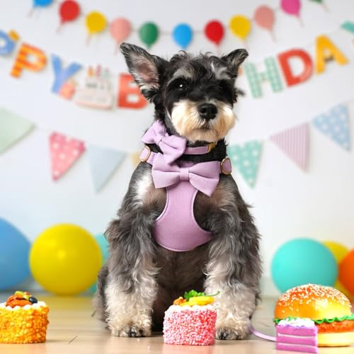 Beirui Adorable Small Dog Harness Collar and Leash Set,Cute Puppy Harness Set with 3 Bows for Small Dogs,Shih Tzu,Dachshun...