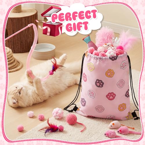 Leitee 101 Pcs Cat Interactive Toys Set with 1 Cat Paw Gift Storage Bags Feather Teaser Wand Springs Mice Fish Crinkle Bal...