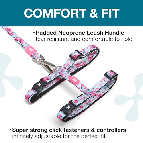 Max and Molly Adjustable Cat Harness and Leash Set - Escape-Proof Cat Harness with Leash for Outdoor Walking and Explorin...