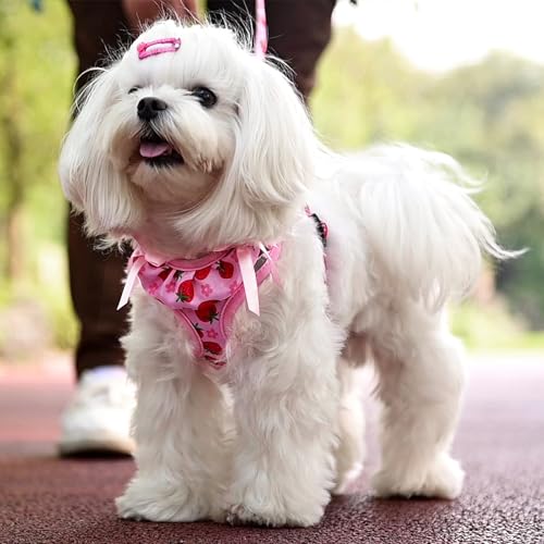 PUPTECK Dog Harness and Leash Set Small Sized, Step in No Pull Adjustable Puppy Cat Harness Reflective Pet Vest