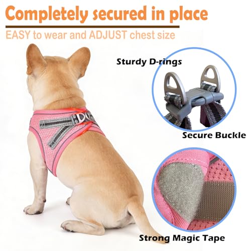 Small Dog Harness and Leash Set, Step-in Puppy Vest with Breathable Soft Padded Mesh, Walking Reflective Pet Harness for S...