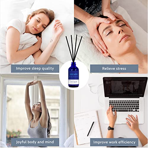 Xcleen Reed Diffusers Set, 3.7 Oz Scent Diffuser, 6 Reed Diffuser Sticks, Home Fragrance Hyacinth, Peony & Citrus, Aromath...