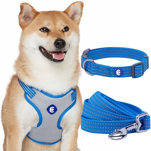 Blueberry Pet Dog Harness and Leash Set, Puppy Essentials for Large Dogs, Medium Sized Dogs, and Puppies, Reflective Dog C...