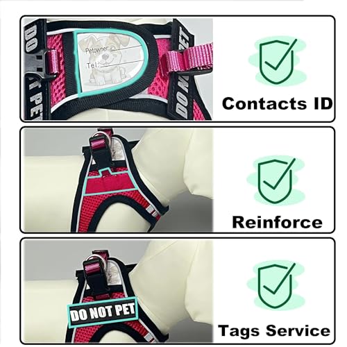 Service Dog Harness Vest Set Emotional Support Small Size Dog- 6PCS Removable Patches -Mesh Puppy Harness and Leash Set Tr...