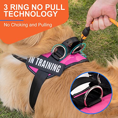 Essential Dog Harness, No Pull Pet Harness with 3 Side Rings for Leash Placement, No Choke, Reflective, Adjustable Pet Ves...