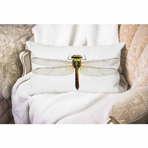 Smooffly Farmhouse Oblong Rectangle Throw Pillow Case, Green Darner Dragonfly Isolated with Clipping Path Pillow Cases Cot...