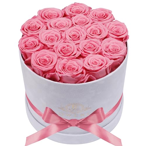 Prifroti 17 Flowers in a Luxury Suede Box, Birthday Gifts for Women, Preserved Flowers, Mothers Day Roses Gift for Mom, Li...